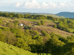 Llanhilleth Farm Colliery from across the valley, June 2009